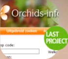 webdesign - orchids-info.com